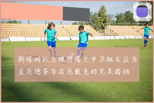斯塔姆认为理想荷兰中卫组合应为左范德芬与右范戴克的完美搭档