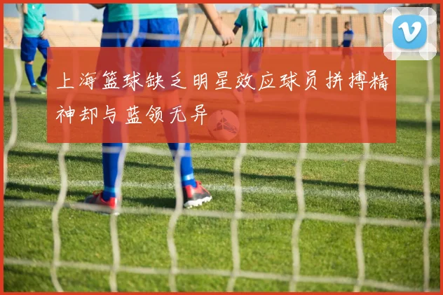 上海篮球缺乏明星效应球员拼搏精神却与蓝领无异