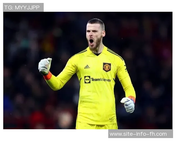 德赫亚强调接下来每场比赛的重要性佛罗伦萨将全力以赴争取保级